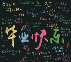 ylzz总站线路检测